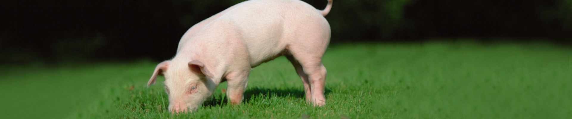 尊龙凯时【官方网站】人生就是搏!