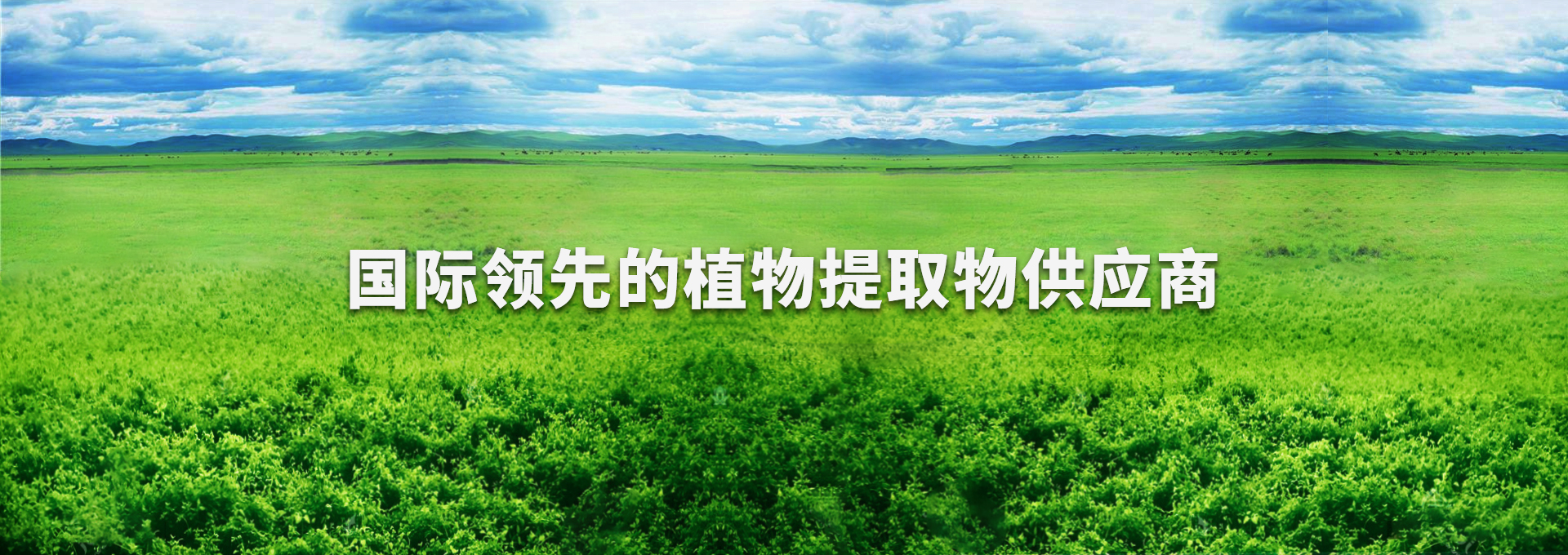 尊龙凯时【官方网站】人生就是搏!