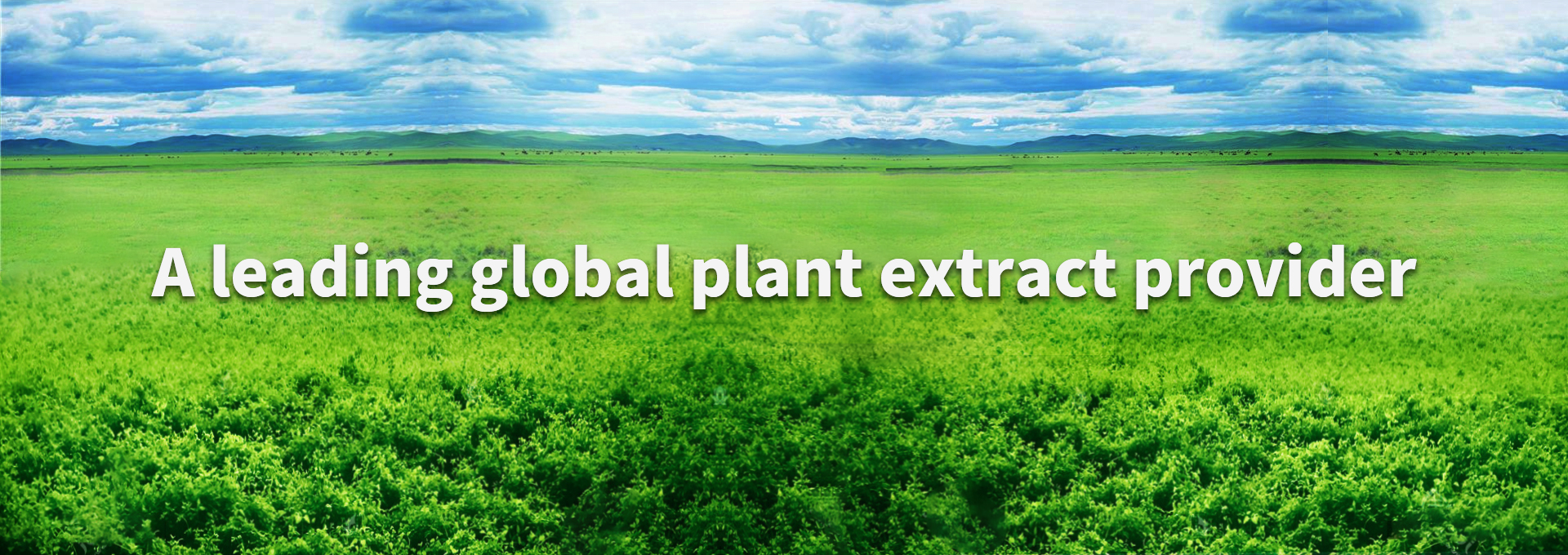 尊龙凯时【官方网站】人生就是搏!