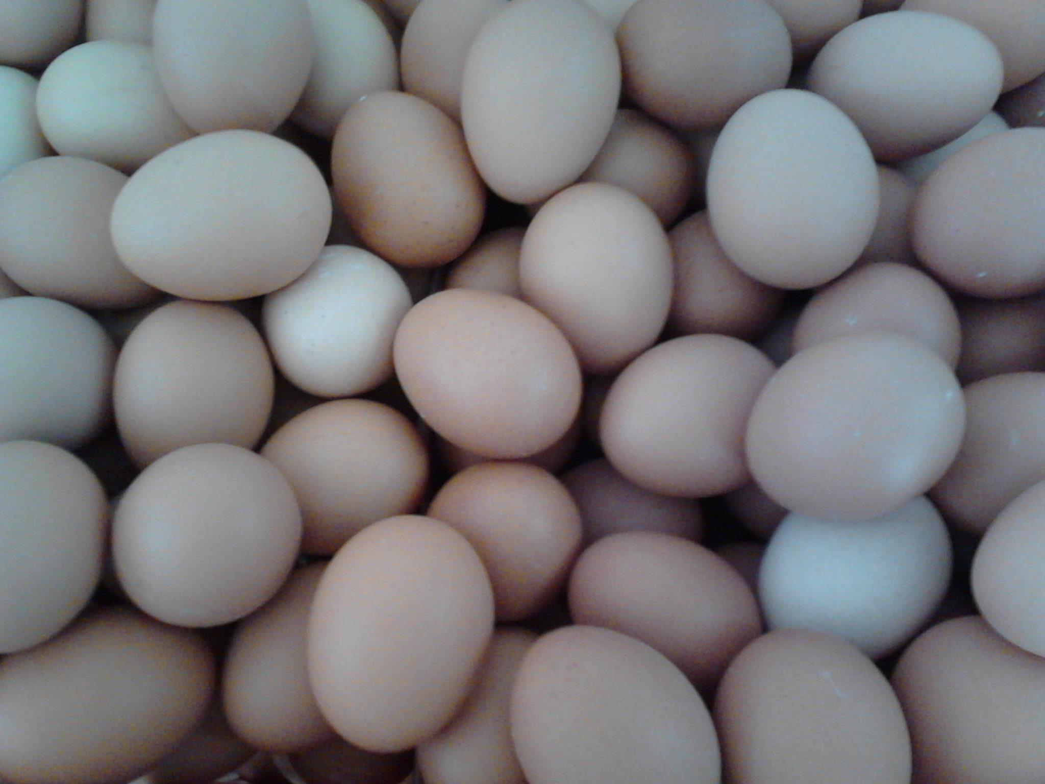 尊龙凯时【官方网站】人生就是搏!