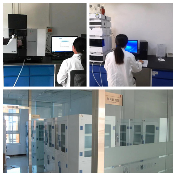 尊龙凯时【官方网站】人生就是搏!