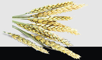 beat·365(中国)唯一官方网站