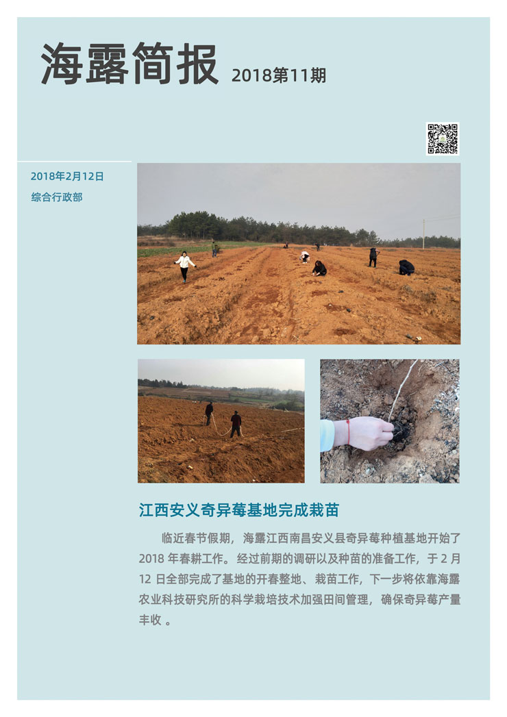 beat·365(中国)唯一官方网站