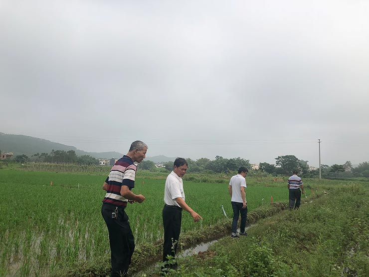 beat·365(中国)唯一官方网站