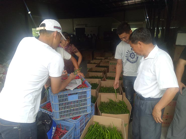 beat·365(中国)唯一官方网站