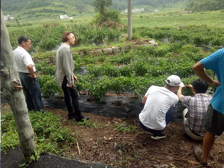 beat·365(中国)唯一官方网站