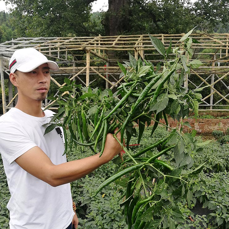 beat·365(中国)唯一官方网站