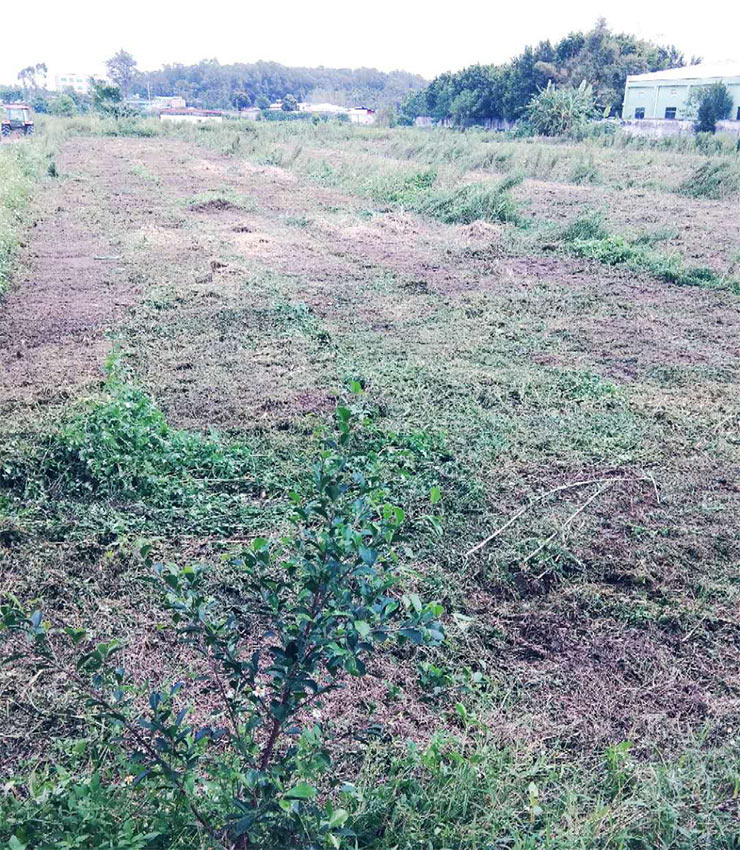 beat·365(中国)唯一官方网站