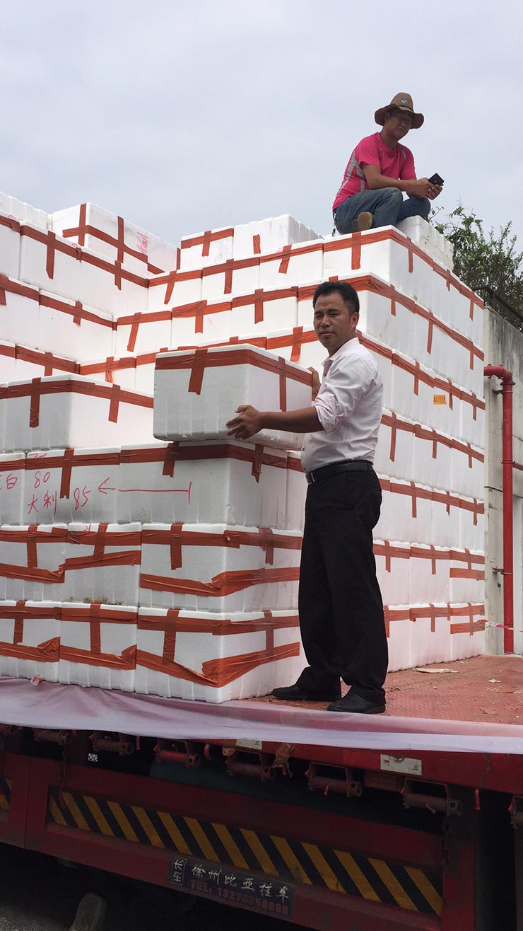 beat·365(中国)唯一官方网站