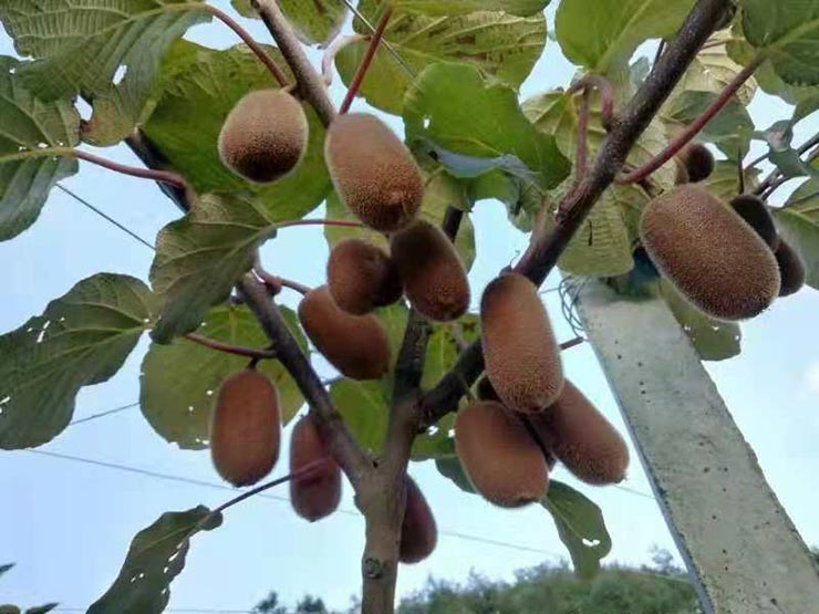 beat·365(中国)唯一官方网站