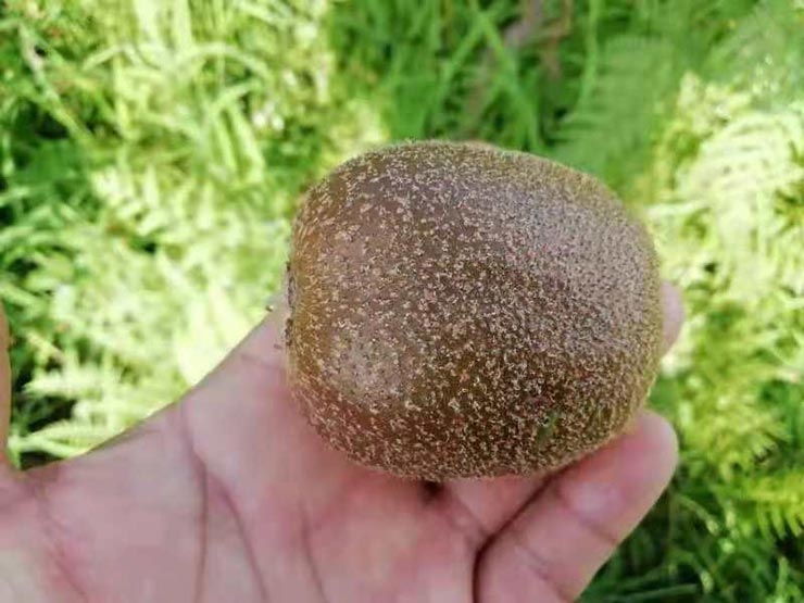 beat·365(中国)唯一官方网站