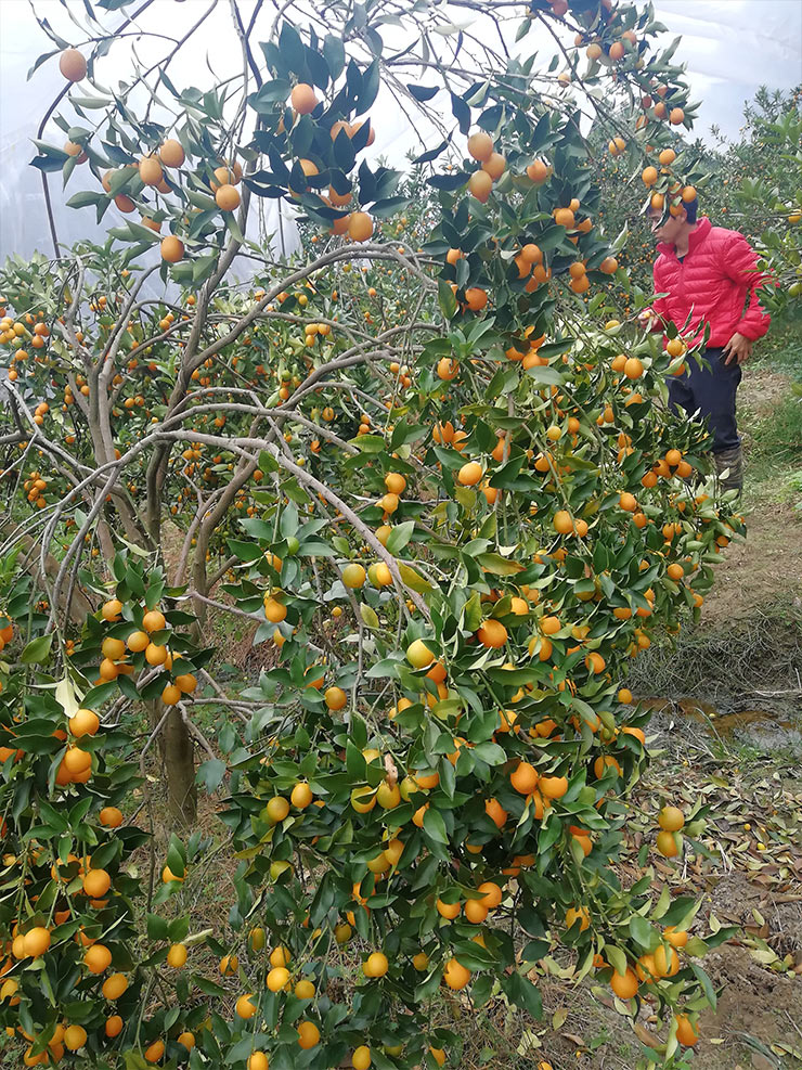 beat·365(中国)唯一官方网站