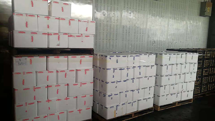 beat·365(中国)唯一官方网站