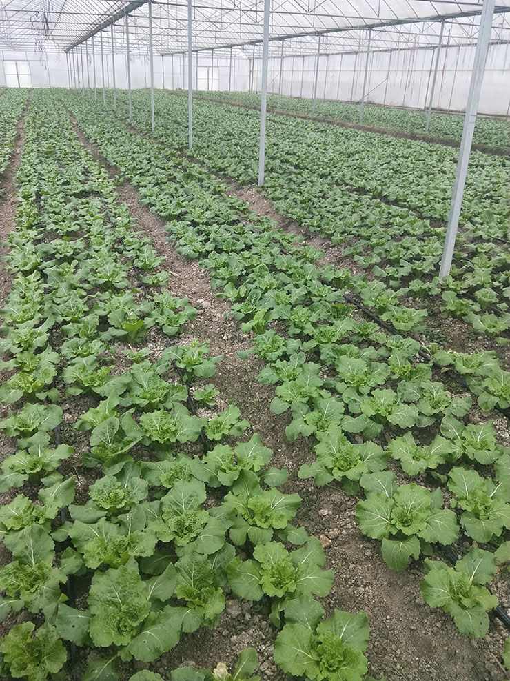 beat·365(中国)唯一官方网站