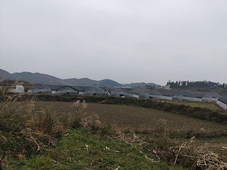 beat·365(中国)唯一官方网站