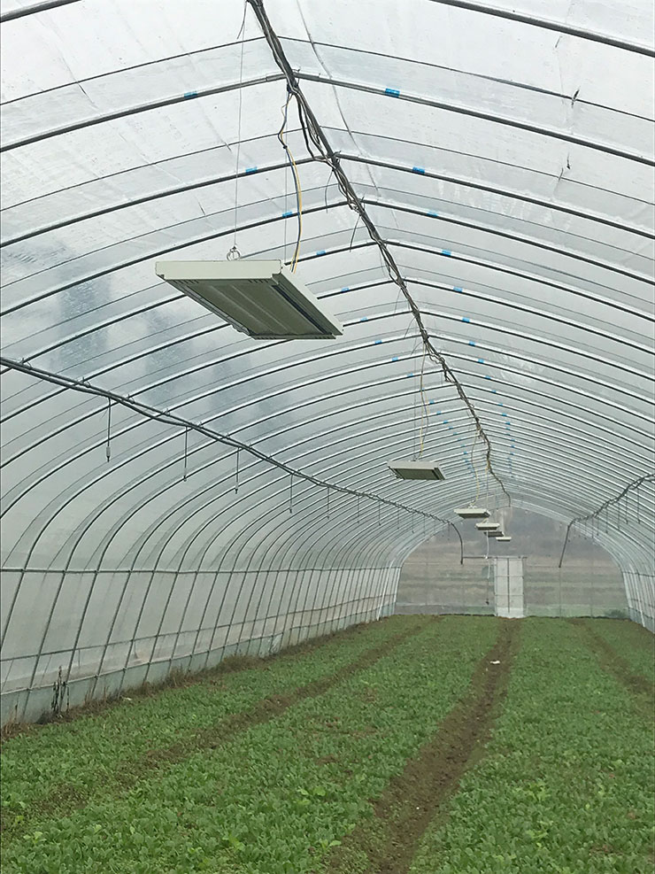 beat·365(中国)唯一官方网站