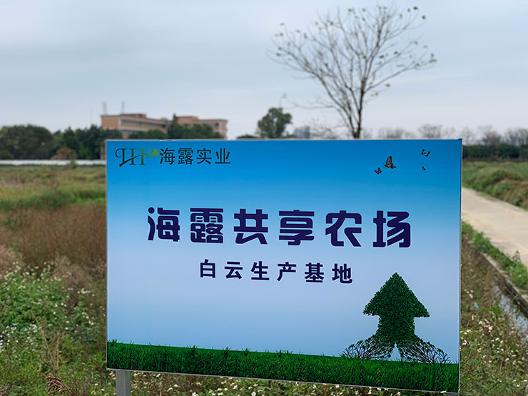 beat·365(中国)唯一官方网站