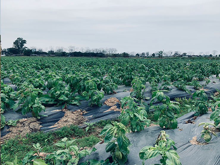 beat·365(中国)唯一官方网站