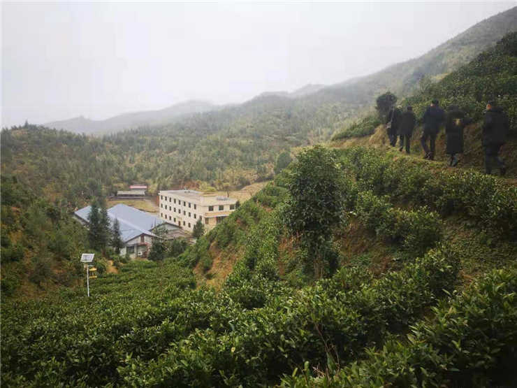 beat·365(中国)唯一官方网站