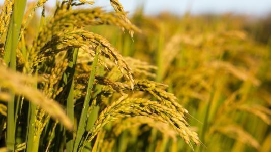 beat·365(中国)唯一官方网站