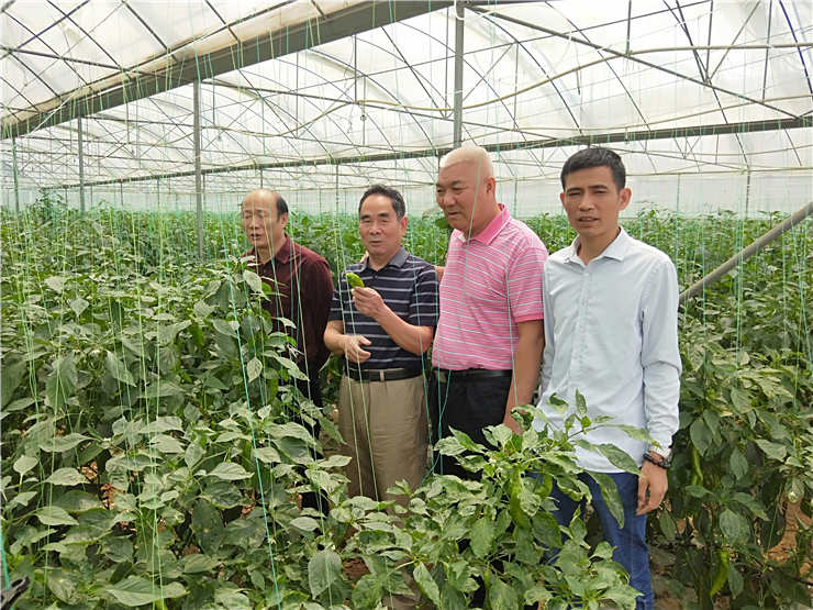 beat·365(中国)唯一官方网站