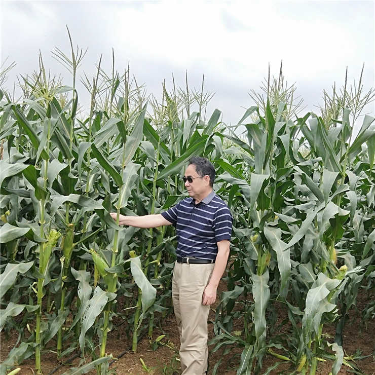 beat·365(中国)唯一官方网站