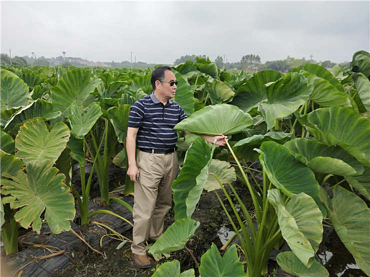 beat·365(中国)唯一官方网站