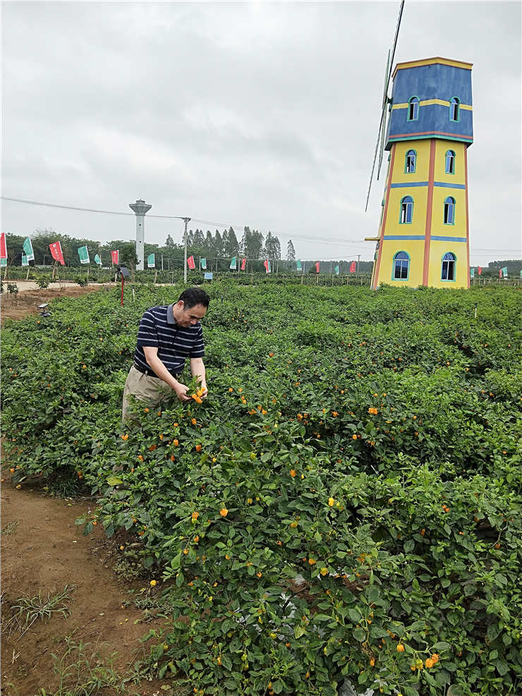 beat·365(中国)唯一官方网站