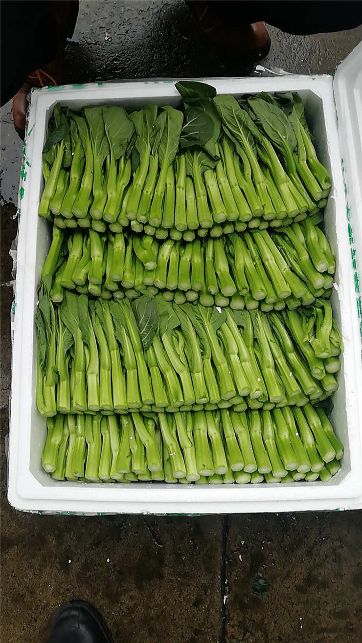 beat·365(中国)唯一官方网站