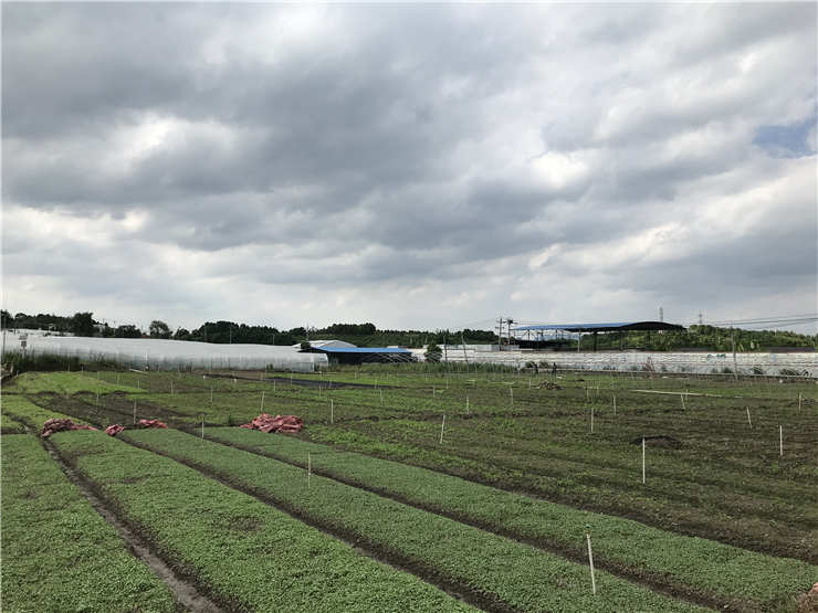 beat·365(中国)唯一官方网站