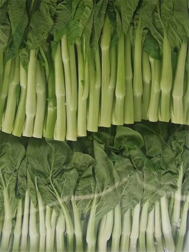 beat·365(中国)唯一官方网站