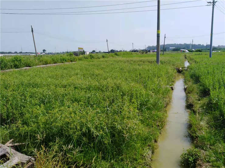 beat·365(中国)唯一官方网站