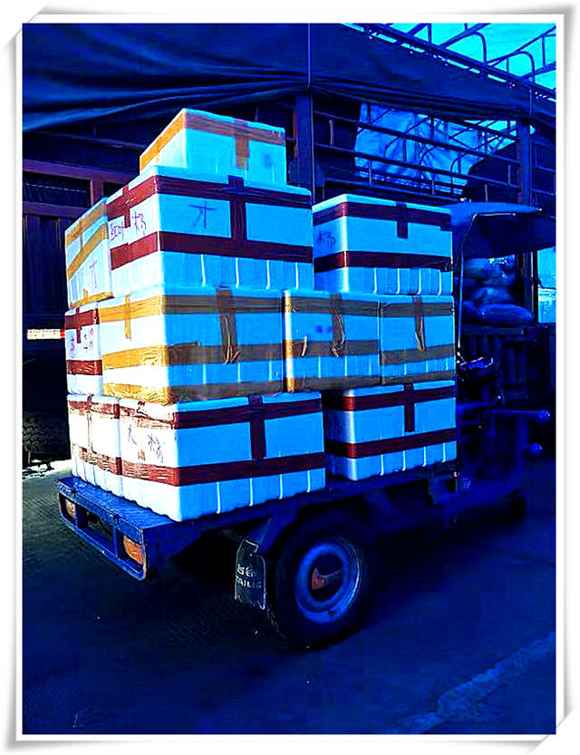 beat·365(中国)唯一官方网站