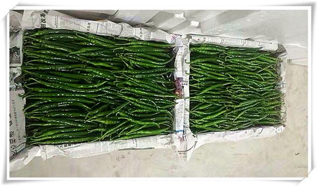 beat·365(中国)唯一官方网站