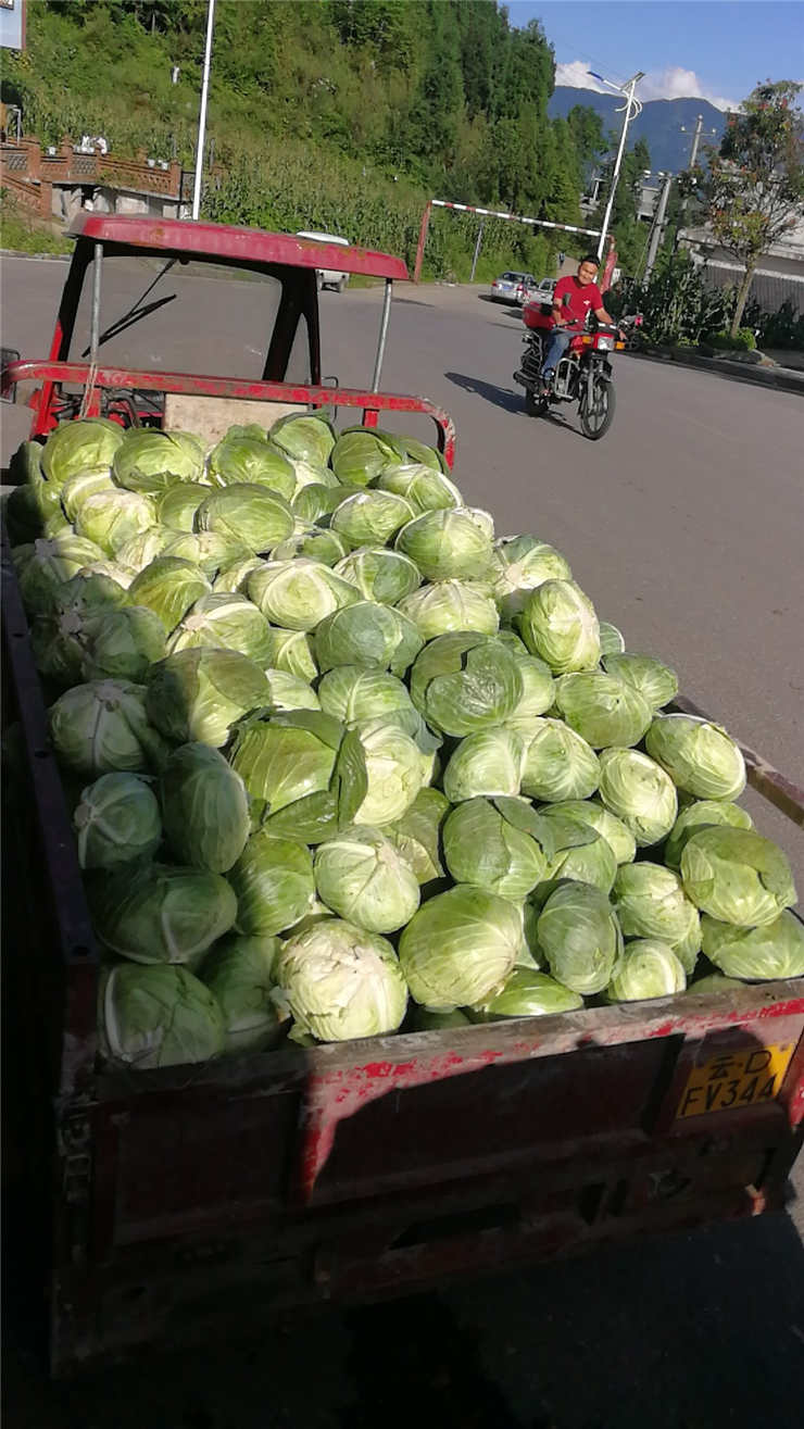 beat·365(中国)唯一官方网站