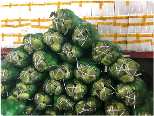 beat·365(中国)唯一官方网站