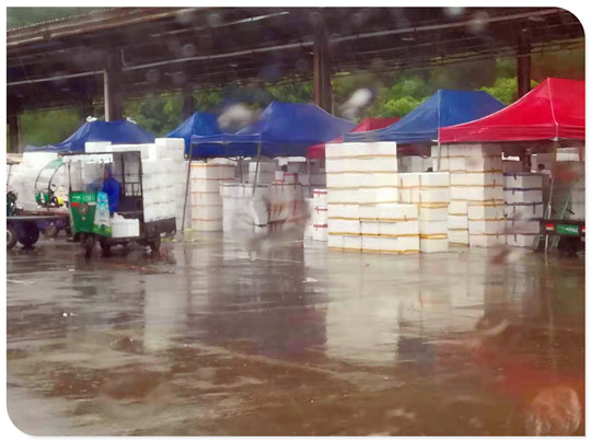 beat·365(中国)唯一官方网站