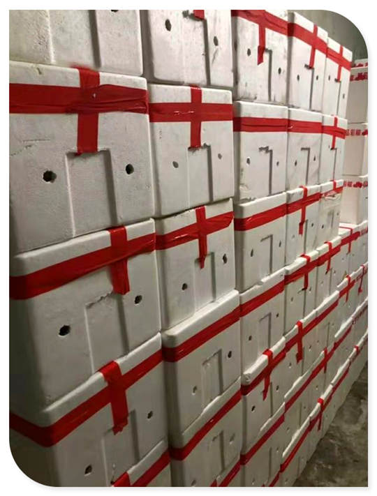 beat·365(中国)唯一官方网站