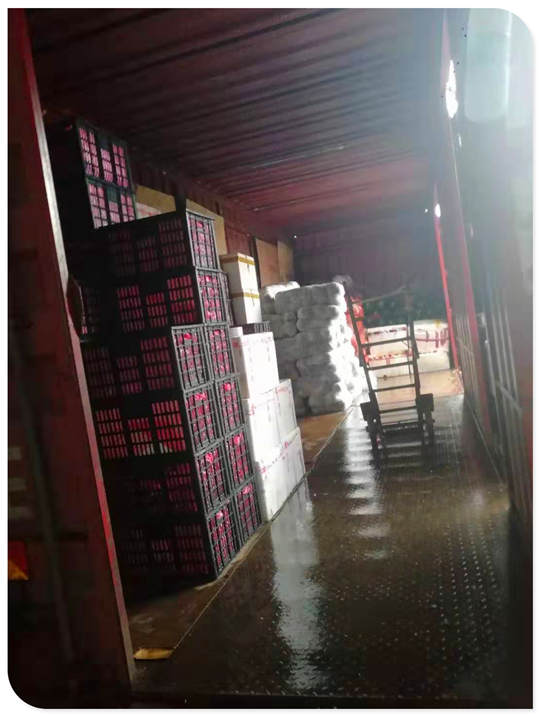 beat·365(中国)唯一官方网站