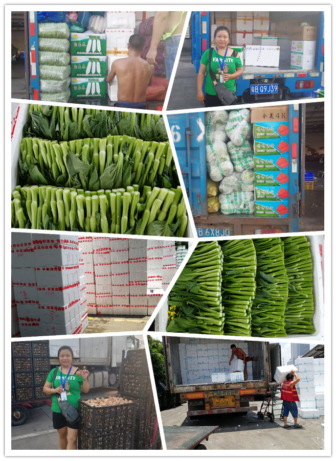 beat·365(中国)唯一官方网站