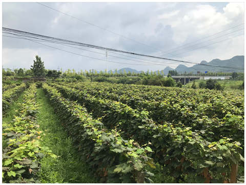 beat·365(中国)唯一官方网站