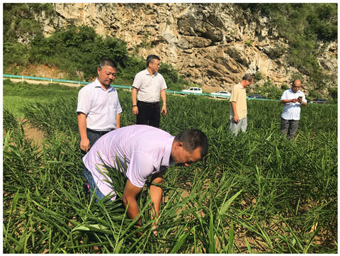 beat·365(中国)唯一官方网站