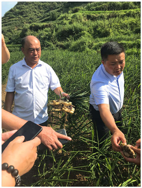 beat·365(中国)唯一官方网站