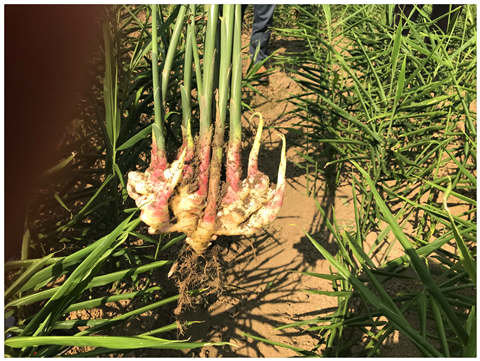 beat·365(中国)唯一官方网站