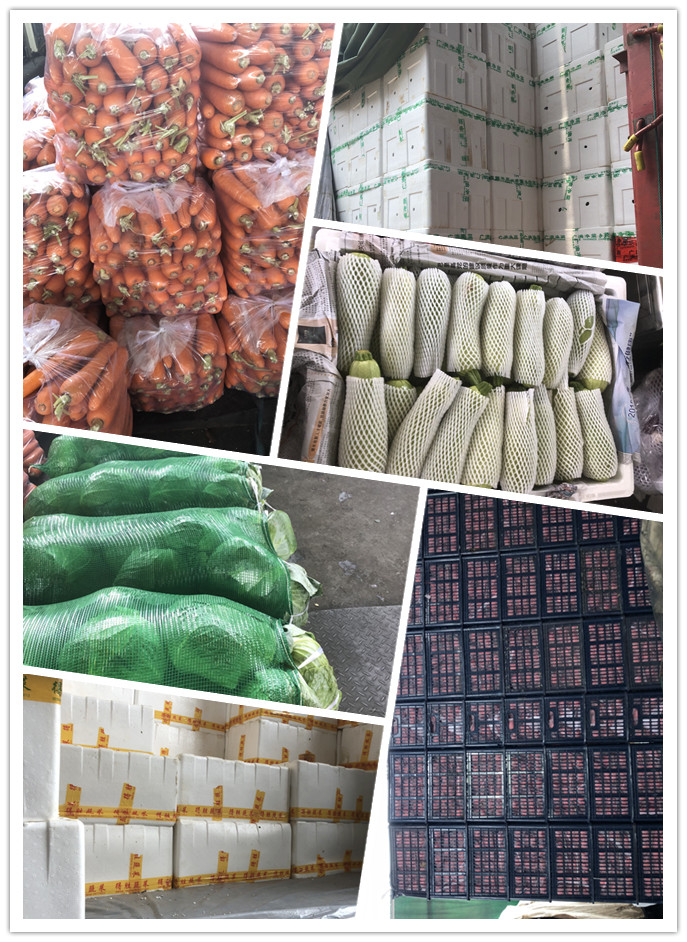 beat·365(中国)唯一官方网站