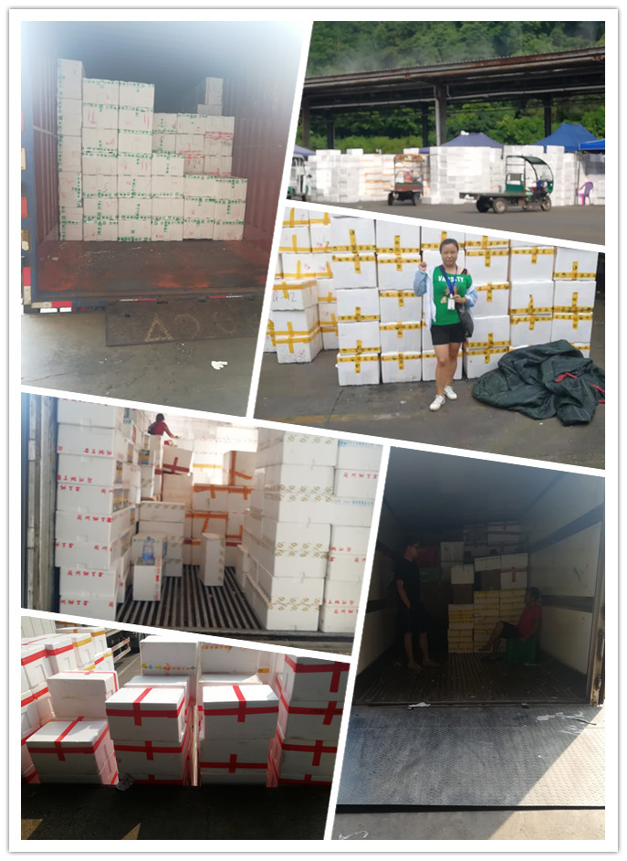 beat·365(中国)唯一官方网站