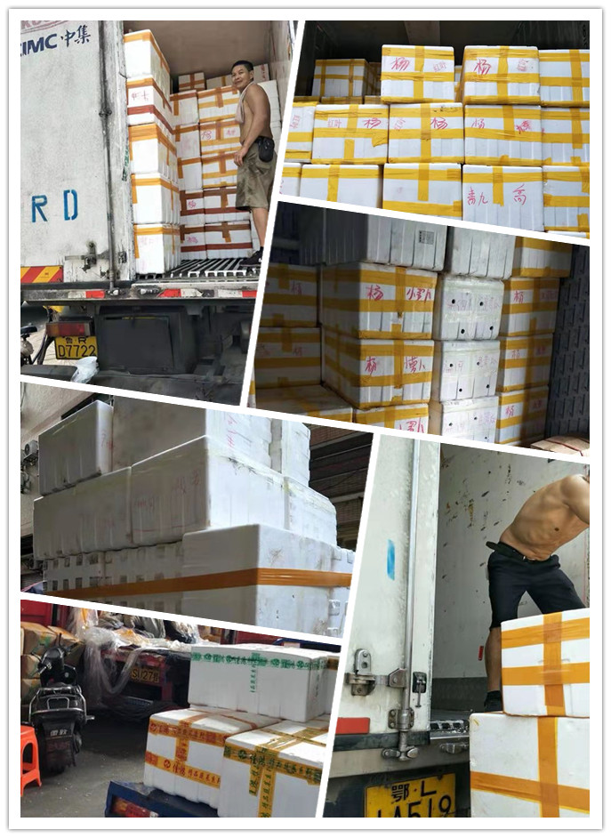 beat·365(中国)唯一官方网站