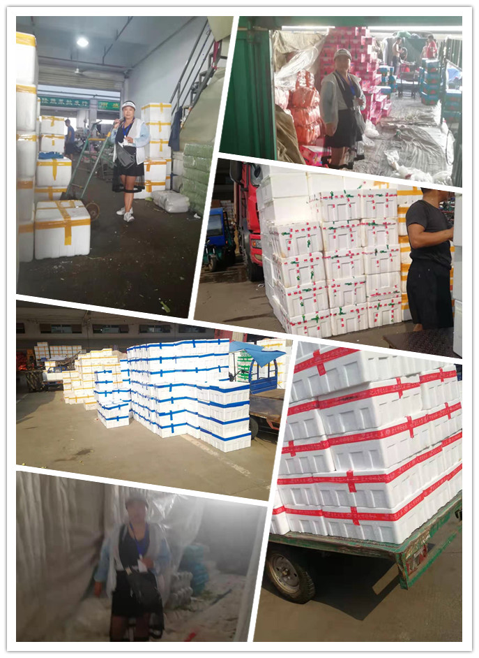 beat·365(中国)唯一官方网站