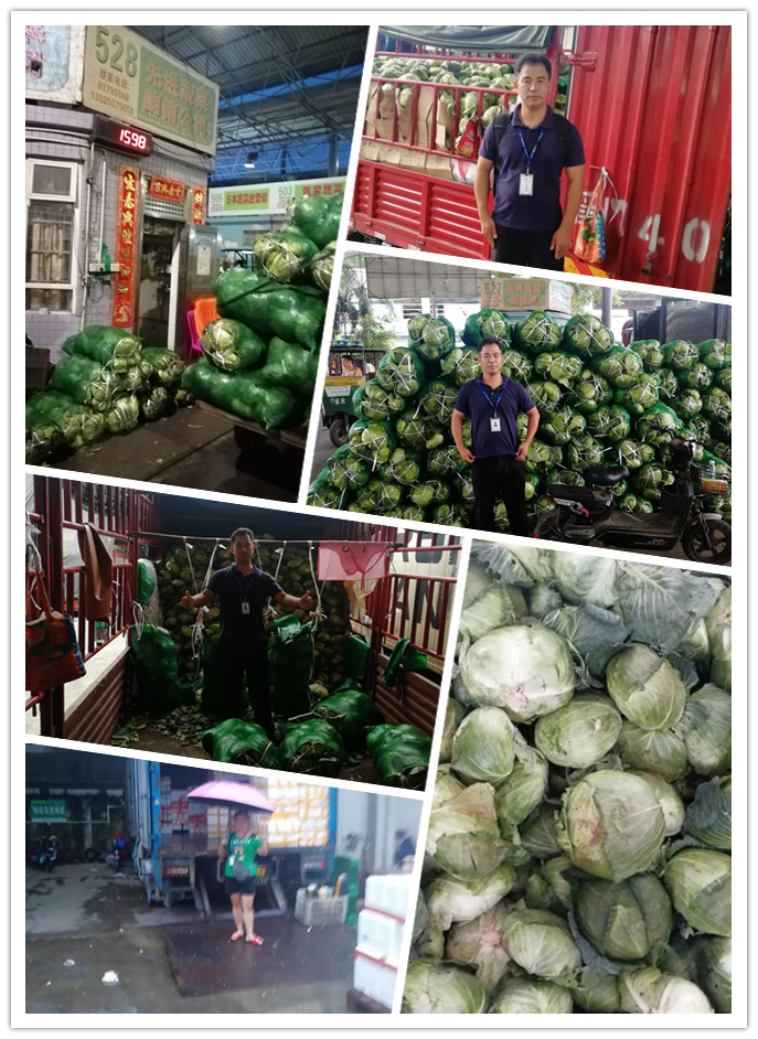 beat·365(中国)唯一官方网站