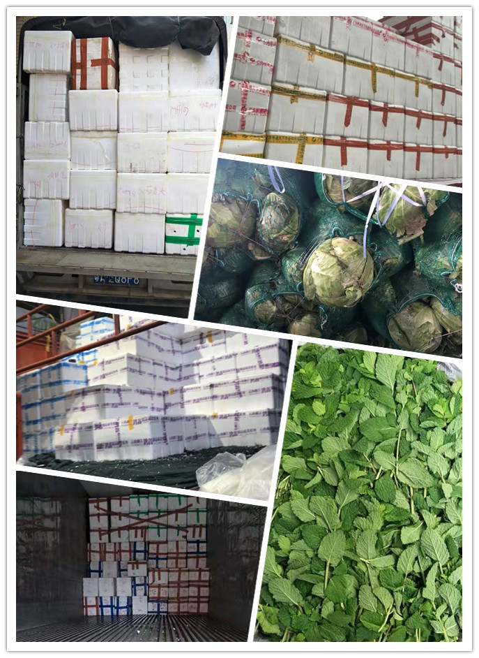 beat·365(中国)唯一官方网站